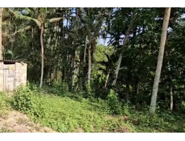 60 cent land for sale near vizhinjam kottukal village