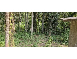 60 cent land for sale near vizhinjam kottukal village