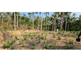 60 cent land for sale near vizhinjam kottukal village