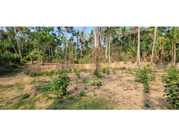 60 cent land for sale near vizhinjam kottukal village