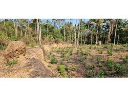 60 cent land for sale near vizhinjam kottukal village