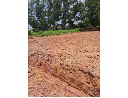 13.5 cent land for sale near kakkanad, infopark