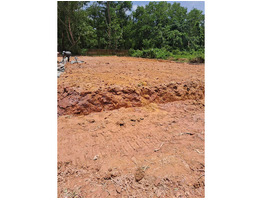 13.5 cent land for sale near kakkanad, infopark