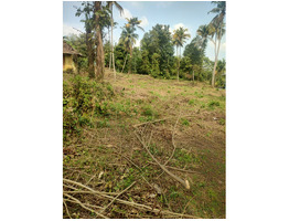 1.3 Acers land for sale near angamaly