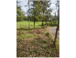 1.3 Acers land for sale near angamaly
