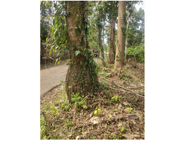 1.3 Acers land for sale near angamaly