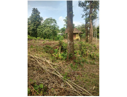 1.3 Acers land for sale near angamaly
