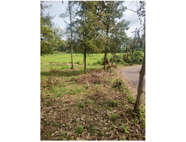 1.3 Acers land for sale near angamaly