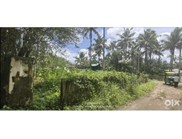 6.2 cent land for sale near Perumblassry junction