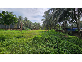 PRIME 59-CENT LAND FOR SALE – BEHIND HILITE MALL, CALICUT
