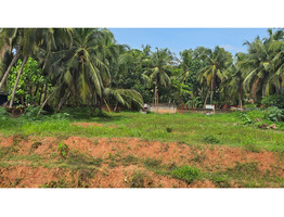 PRIME 59-CENT LAND FOR SALE – BEHIND HILITE MALL, CALICUT