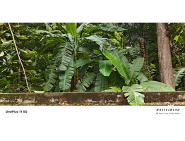 9.19 cent land for sale santhi Nagar, Panamukku