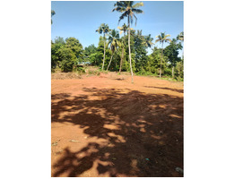 1.3 Acers land for sale near angamaly