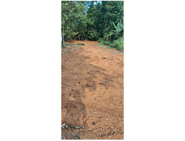 27 cent land for sale Perumbavoor,Mudakkirai junction