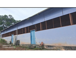 155.61 cent land with 25000 Sqft Partly Tiled