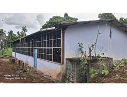 155.61 cent land with 25000 Sqft Partly Tiled