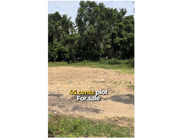45 cent Commercial Land for sale