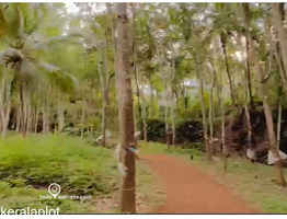 19.70 Acers Agricultural land for sale