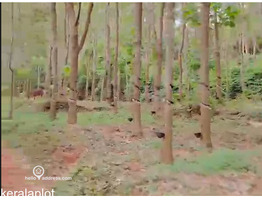 19.70 Acers Agricultural land for sale