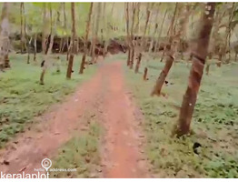 19.70 Acers Agricultural land for sale