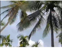 19.70 Acers Agricultural land for sale