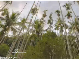 19.70 Acers Agricultural land for sale