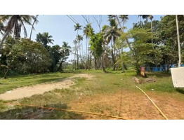 62 cent land for Sale Near Thankey Church