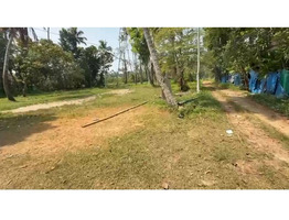 62 cent land for Sale Near Thankey Church