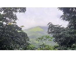 Land for sale wayanad Kavumannam town