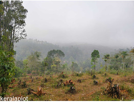 Land for sale wayanad Kavumannam town