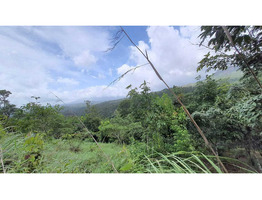 Land for sale wayanad Kavumannam town