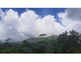 Land for sale wayanad Kavumannam town