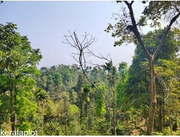 Land for sale wayanad Kavumannam town