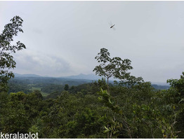 Land for sale wayanad Kavumannam town