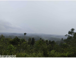 Land for sale wayanad Kavumannam town
