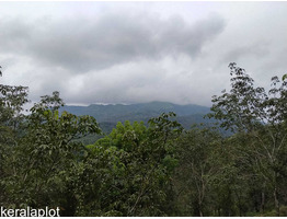 Land for sale wayanad Kavumannam town