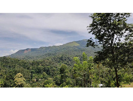 Land for sale wayanad Kavumannam town