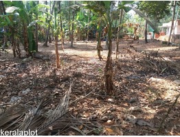 16 cent land near Pishaarikkavu Temple