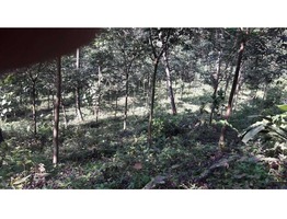 2.26 acres of rubber trees (fourth year) on Edakkunnam - Kanjirappally bus road.