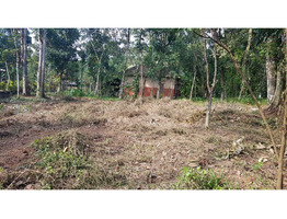 land for sale in pathanamthitta Adoor