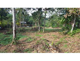 land for sale in pathanamthitta Adoor