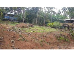 land for sale in pathanamthitta Adoor