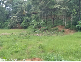 1 Acre 23 cent Land for Sale in Near by Munnar