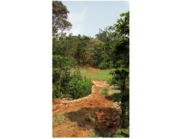 1 Acre 23 cent Land for Sale in Near by Munnar