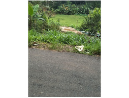 1 Acre 23 cent Land for Sale in Near by Munnar