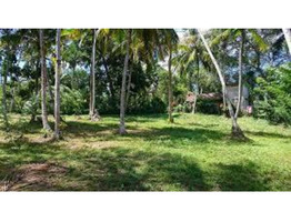 12 CENT PLOT FOR SALE IN ILLATHAPADI.TIRUR