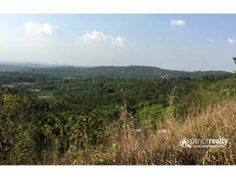 1 acre 5 cent land for sale in Manalvayal