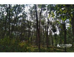 1.20 acre Resort purpose land in Kelamangalam near Kenichira @ 20 lakh