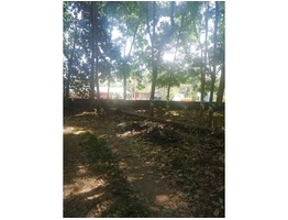 70 cent land for sale at Pathanamthitta kumbazha