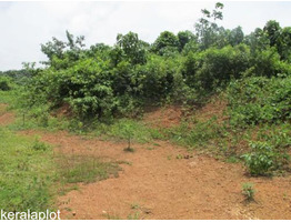 4.66 Acres of Land available for sale at Adoor, Pathanamthitta